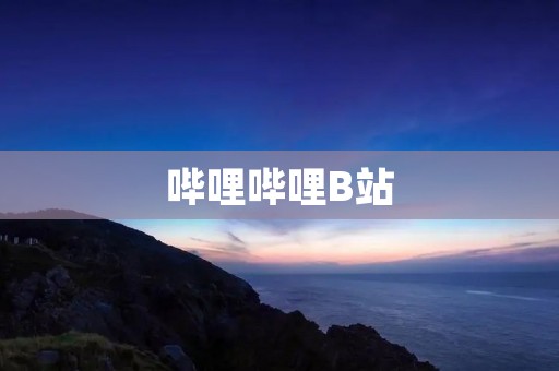 哔哩哔哩B站:中国最大的二次元社区与弹幕视频网站
