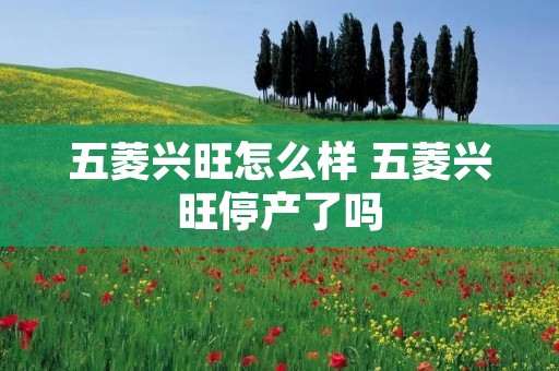 五菱兴旺怎么样 五菱兴旺停产了吗 五菱兴旺怎么样 五菱兴旺停产了吗