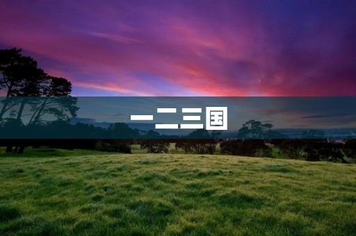 一二三国：三国时期的政治格局