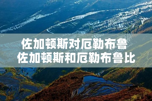 佐加顿斯对厄勒布鲁 佐加顿斯和厄勒布鲁比分预测 佐加顿斯对厄勒布鲁 佐加顿斯和厄勒布鲁比分预测