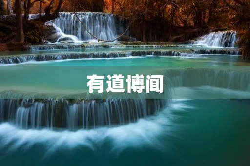 有道博闻：开启智慧阅读新时代
