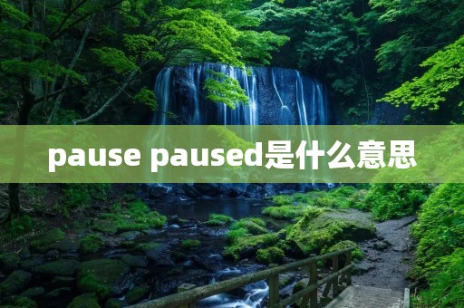 pause paused是什么意思 pause paused是什么意思