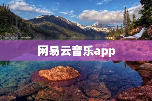 网易云音乐app：音乐世界尽在掌握