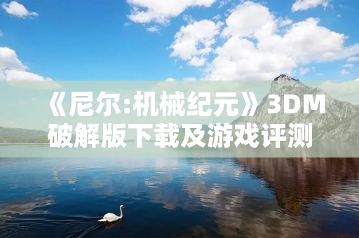 《尼尔:机械纪元》3DM破解版下载及游戏评测 《尼尔:机械纪元》3DM破解版下载及游戏评测