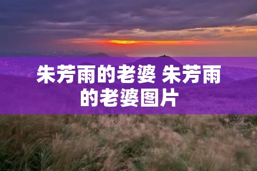 朱芳雨的老婆 朱芳雨的老婆图片