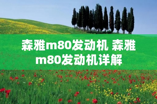 森雅m80发动机 森雅m80发动机详解 森雅m80发动机 森雅m80发动机详解