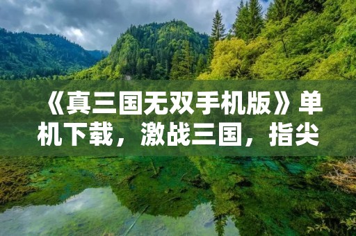《真三国无双手机版》单机下载，激战三国，指尖决胜！