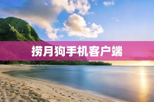 捞月狗手机客户端：提升游戏技术的必备工具