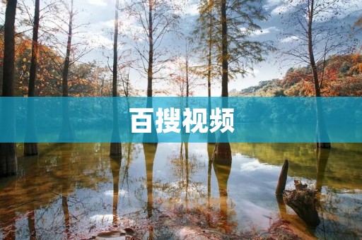 百搜视频：方便快捷的视频搜索平台