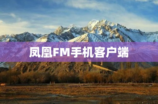 凤凰FM手机客户端：畅享高品质音乐与海量音频内容