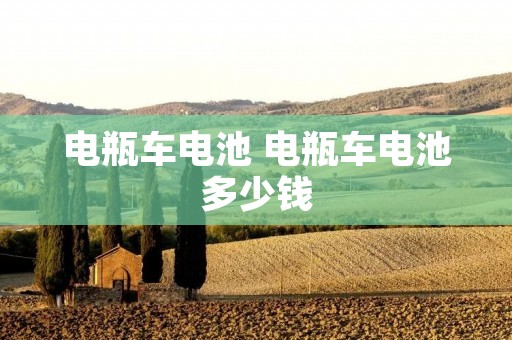 电瓶车电池 电瓶车电池多少钱