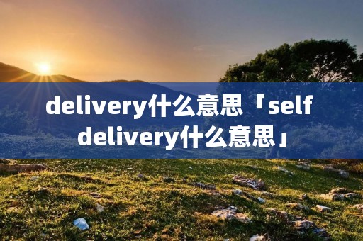 delivery什么意思「self delivery什么意思」