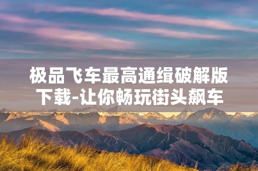 极品飞车最高通缉破解版下载-让你畅玩街头飙车
