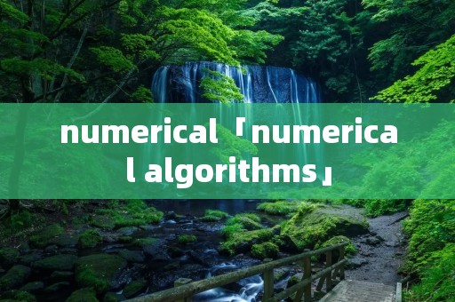 numerical「numerical algorithms」