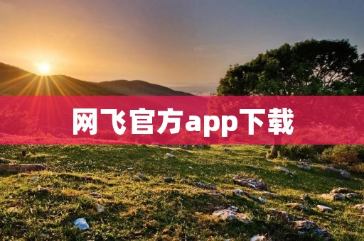 网飞官方app下载：畅享海量影视内容