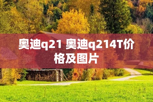 奥迪q21 奥迪q214T价格及图片 奥迪q21 奥迪q214T价格及图片