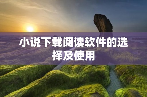 小说下载阅读软件的选择及使用 小说下载阅读软件的选择及使用
