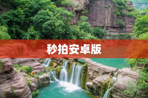 秒拍安卓版：记录生活，分享精彩瞬间
