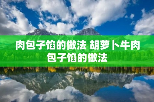 肉包子馅的做法 胡萝卜牛肉包子馅的做法