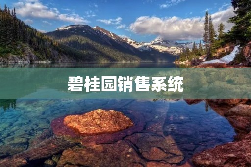 碧桂园销售系统:数字化时代的新生态 碧桂园销售系统:数字化时代的新生态