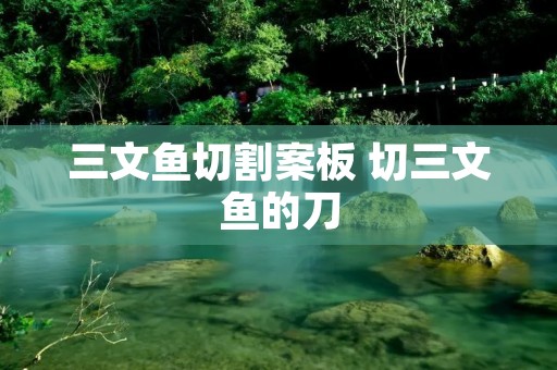 三文鱼切割案板 切三文鱼的刀 三文鱼切割案板 切三文鱼的刀