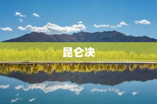 昆仑决：中国顶级综合格斗赛事