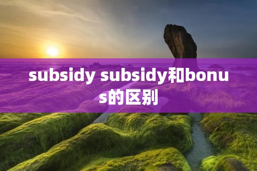 subsidy subsidy和bonus的区别 subsidy subsidy和bonus的区别