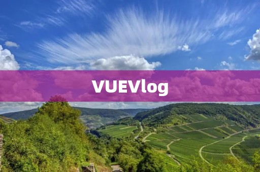 VUEVlog:记录生活,分享瞬间 VUEVlog:记录生活,分享瞬间