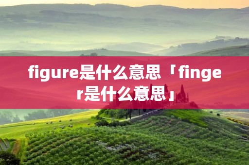 figure是什么意思「finger是什么意思」