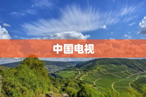 中国电视：媒体腾飞的引擎