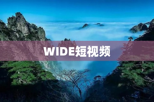 WIDE短视频：开启你的创意之旅