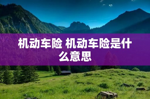 机动车险 机动车险是什么意思