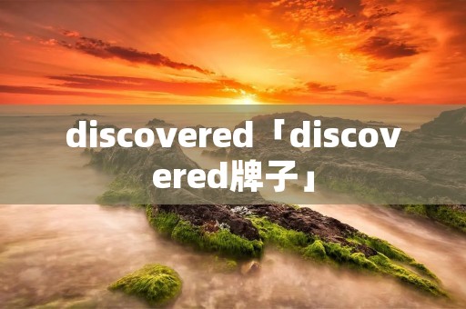discovered「discovered牌子」