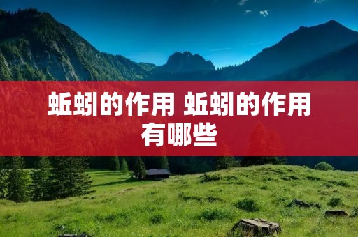 蚯蚓的作用 蚯蚓的作用有哪些