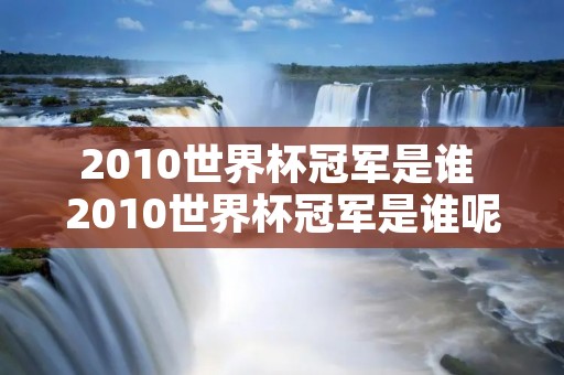 2010世界杯冠军是谁 2010世界杯冠军是谁呢