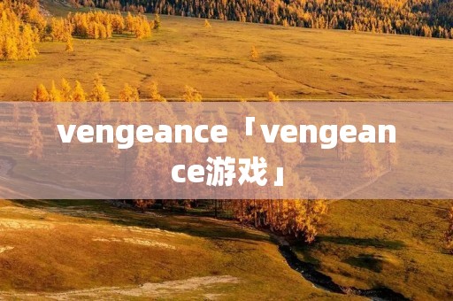 vengeance「vengeance游戏」