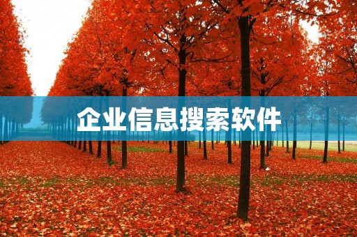 企业信息搜索软件：快速获取商业智能