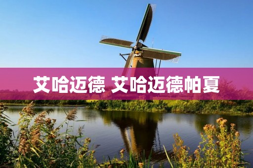 艾哈迈德 艾哈迈德帕夏