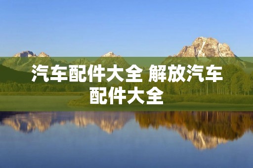 汽车配件大全 解放汽车配件大全