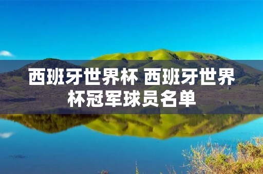 西班牙世界杯 西班牙世界杯冠军球员名单