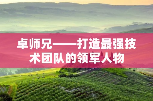 卓师兄——打造最强技术团队的领军人物 卓师兄——打造最强技术团队的领军人物