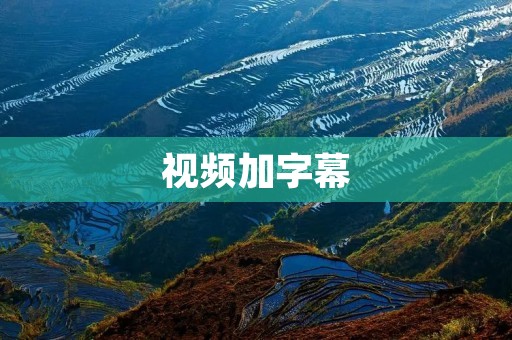 视频加字幕：提升视频内容传播力的必备技巧