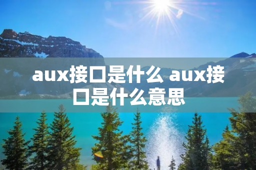 aux接口是什么 aux接口是什么意思 aux接口是什么 aux接口是什么意思