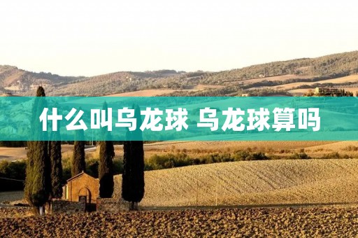 什么叫乌龙球 乌龙球算吗