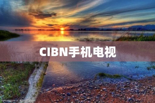 CIBN手机电视：打造智能家庭娱乐新体验