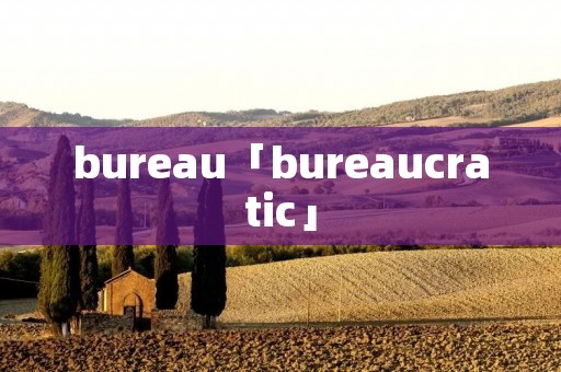 bureau「bureaucratic」