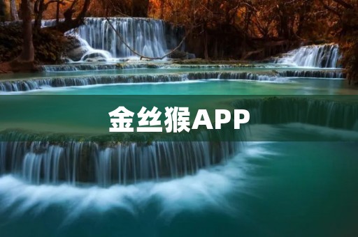 金丝猴APP：探索猴子世界的互动学习平台