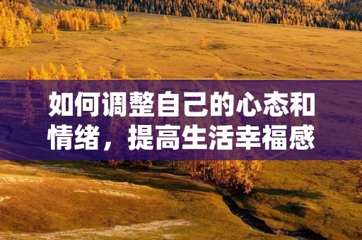 如何调整自己的心态和情绪,提高生活幸福感和自我满足感