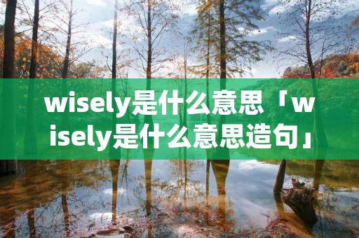wisely是什么意思「wisely是什么意思造句」