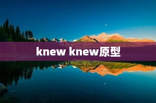 knew knew原型
